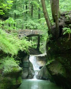 We MUST learn to live in harmony with Nature. Our future depends on it.